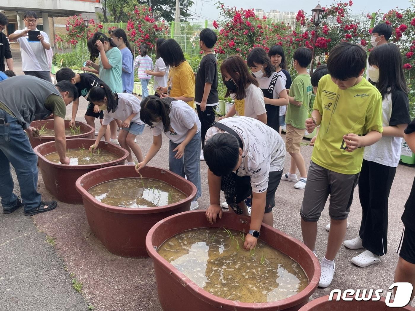 본문 이미지 - 전남 해남군 한 초등학교 &#40;해남군 제공. 재판매 및 DB금지&#41; /뉴스1 
