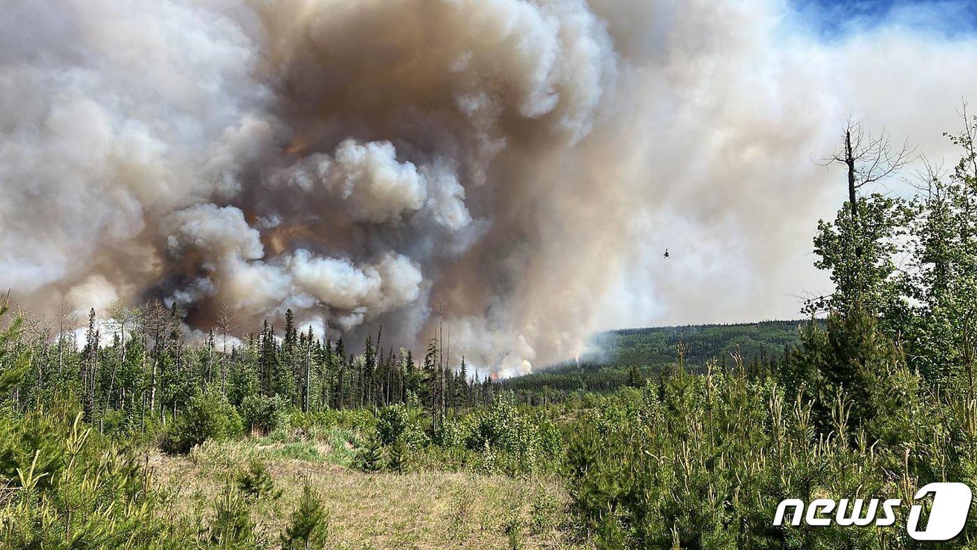 본문 이미지 - 7일 (현지시간) 캐나다 브리티시컬럼비아주 도슨 크리크 산불이 발생해 거대한 연기가 솟아 오르고 있다. 2023.6.9 ⓒ AFP=뉴스1 ⓒ News1 우동명 기자