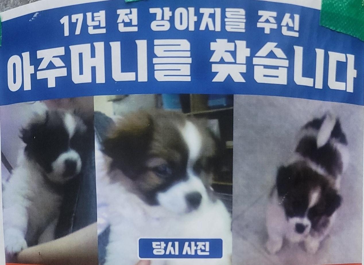 본문 이미지 - (온라인 커뮤니티 갈무리)