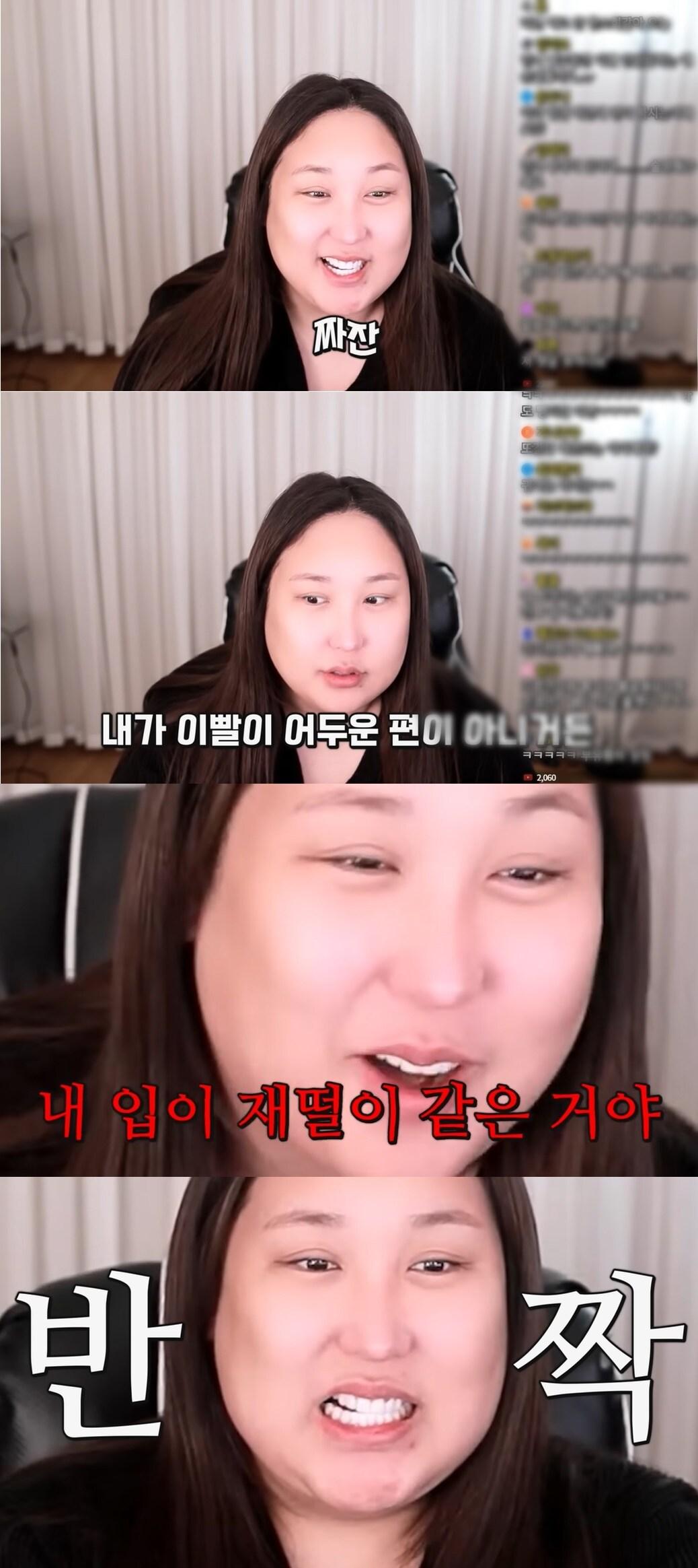 본문 이미지 - (유튜브 채널 '풍자테레비' 갈무리)
