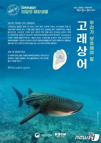 본문 이미지 - (해양수산부 제공)