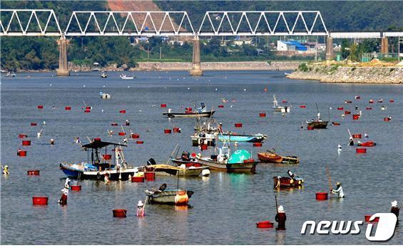 본문 이미지 - 섬진강 재첩잡이 손틀어업(해양수산부 제공)