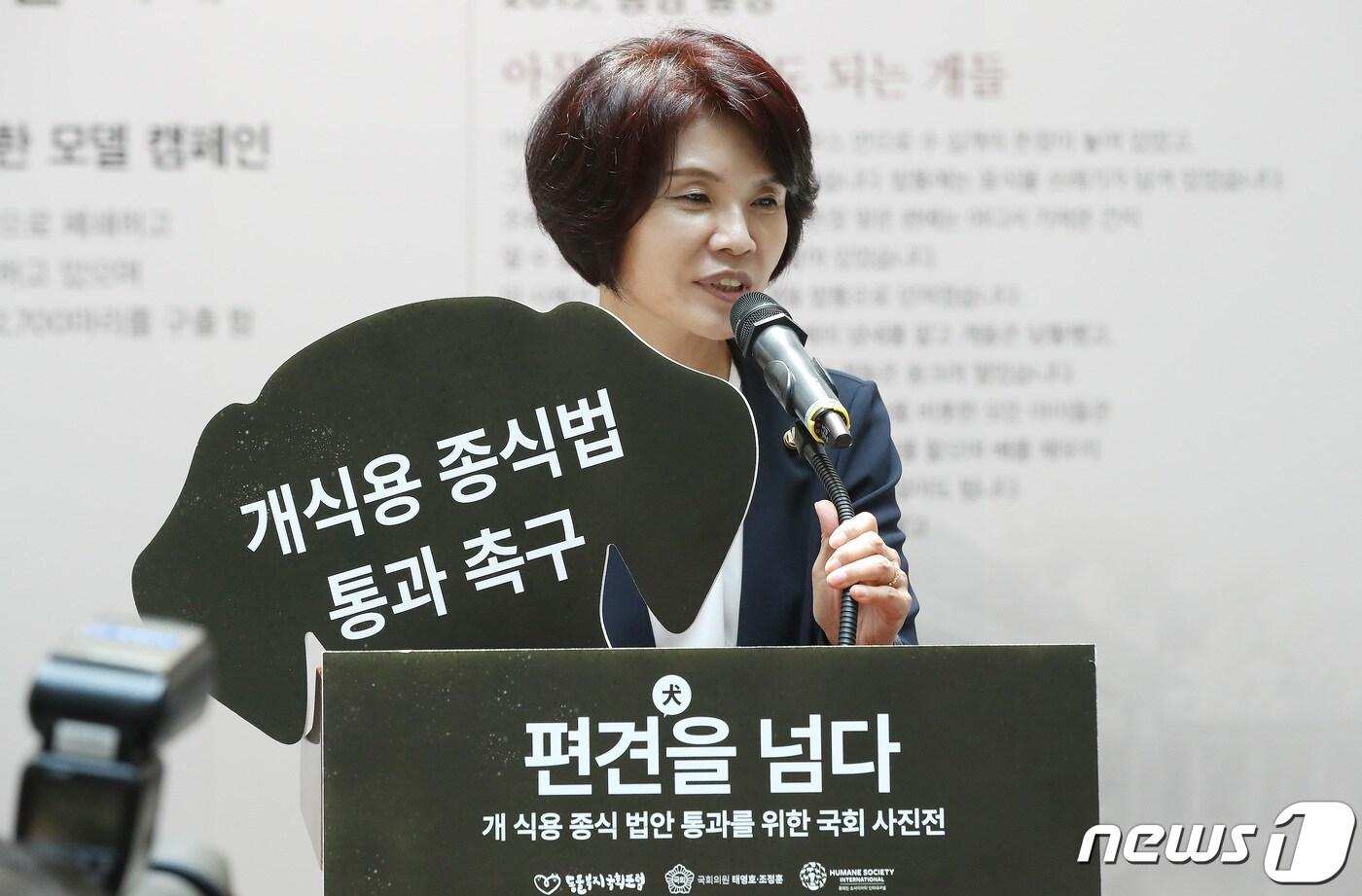 본문 이미지 - 한정애 더불어민주당 의원./뉴스1 ⓒ News1 임세영 기자