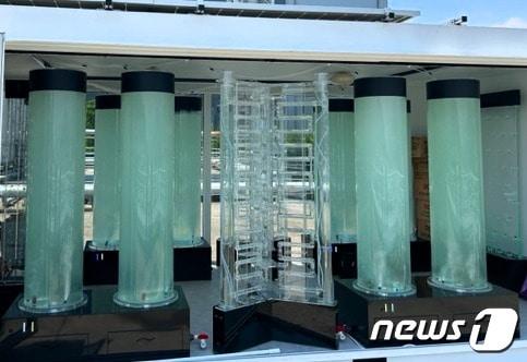 본문 이미지 - 미세조류를 활용한 탄소저감시설 구축 현황(환경부 제공) ⓒ 뉴스1
