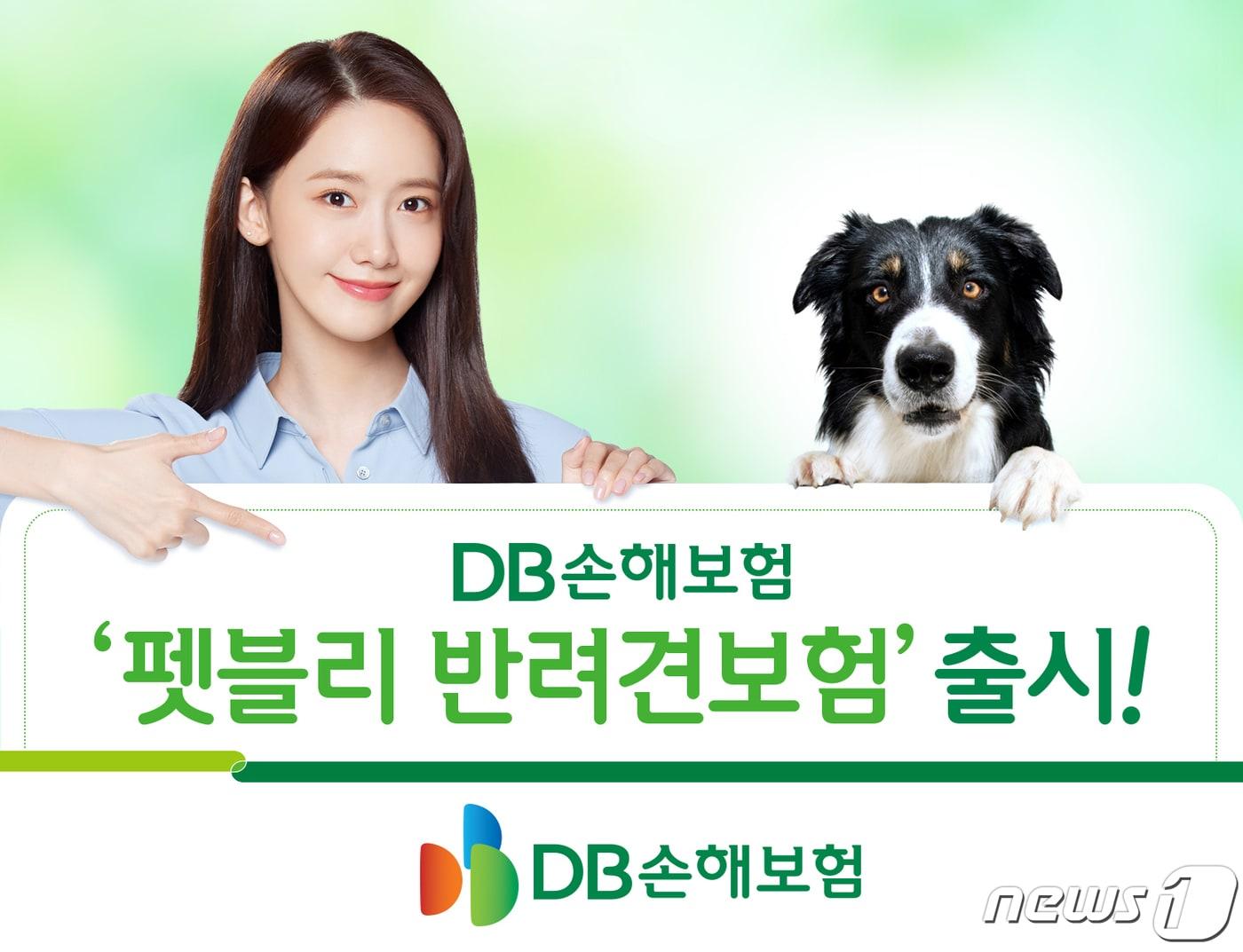 본문 이미지 - DB손해보험 펫블리 반려견보험/사진제공=DB손해보험