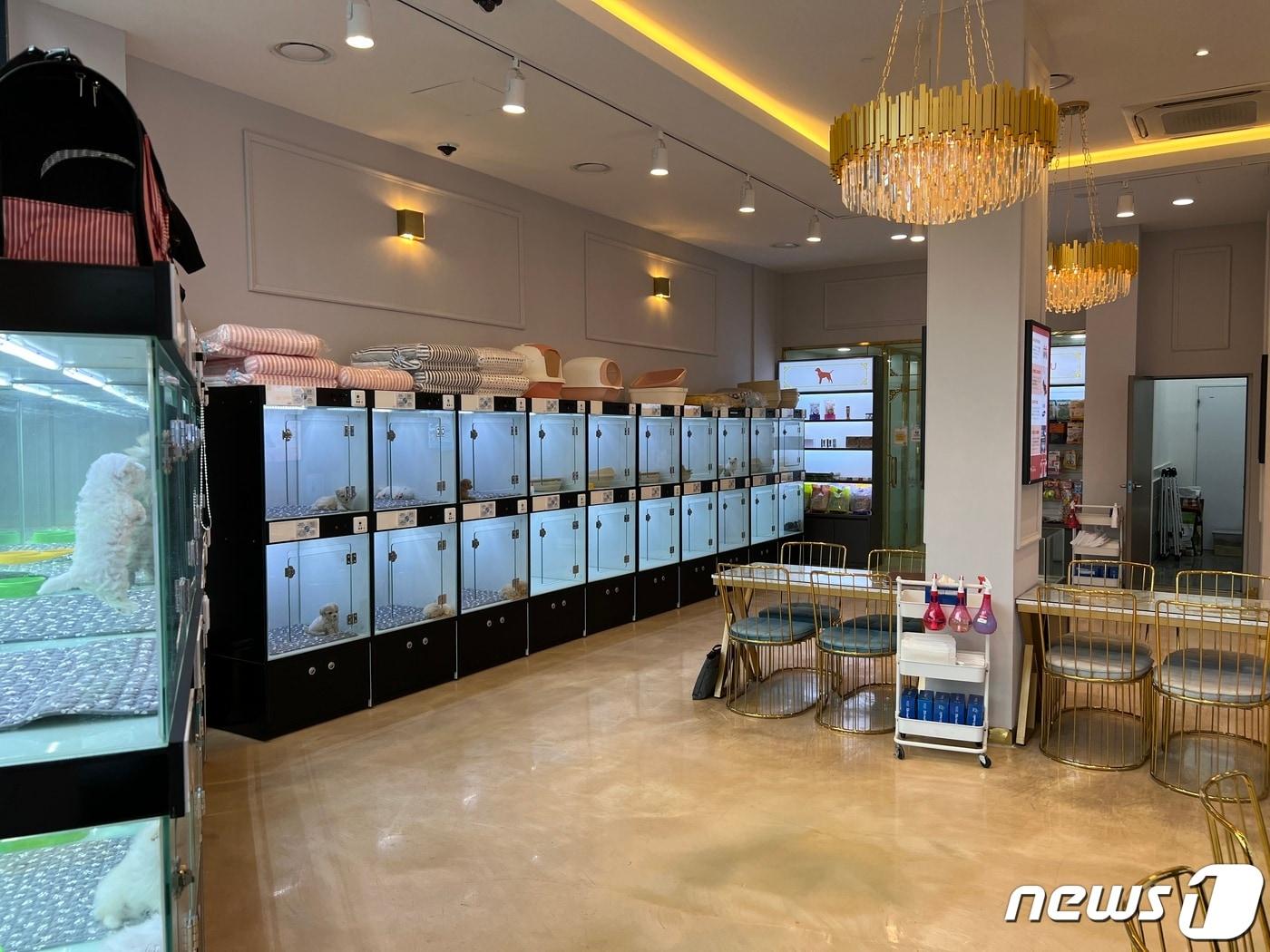 본문 이미지 - 충북 청주시는 13일부터 28일까지 애견호텔 등 동물위탁관리업소를 대상으로 점검에 나선다.(청주시 제공).2023.7.11/뉴스1