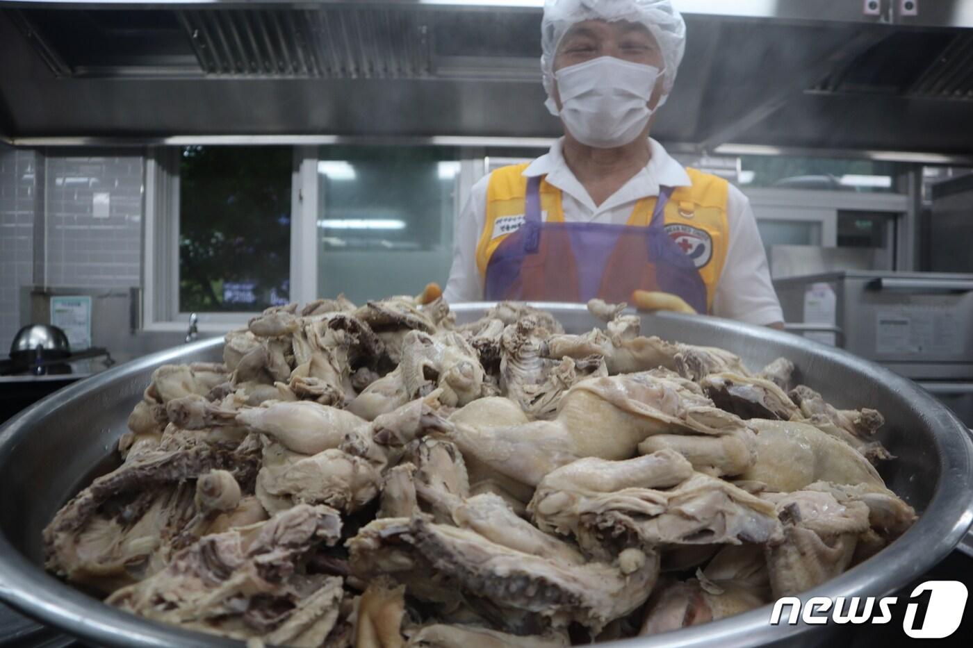 본문 이미지 - 대한적십자사 상당지구협의회 소속 한정애씨(65)가 어르신들에게 제공될 삼계탕 재료를 준비하고 있다.2023.7.11.ⓒ 뉴스1 박건영 기자