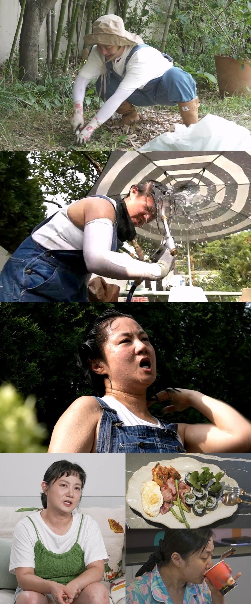 본문 이미지 - MBC