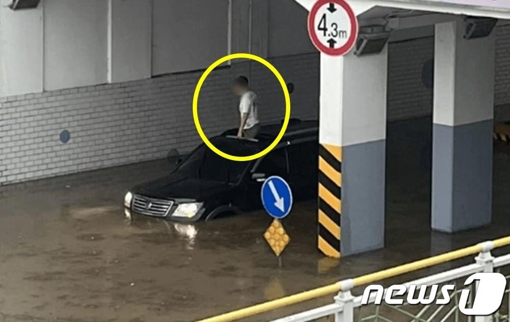 본문 이미지 - (온라인 커뮤니티 갈무리)