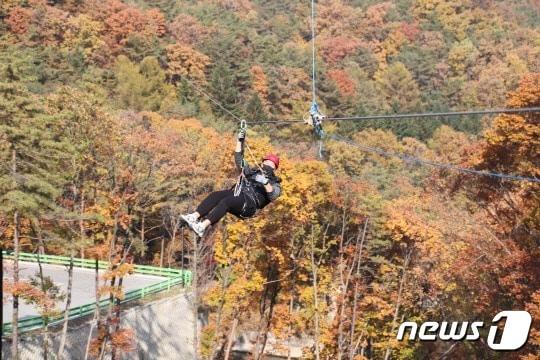 본문 이미지 - 속리산레포츠가 운영하는 집라인 모습. (보은군 제공) /뉴스1 