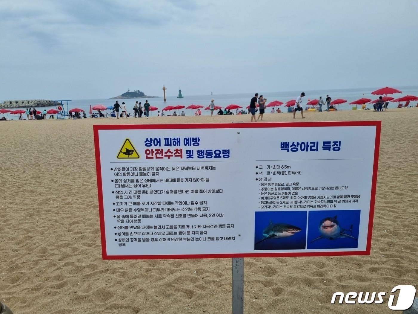 본문 이미지 - 강원 속초시 속초해수욕장 백사장에 설치된 상어 피해예방 안전수칙 안내판.2023.7.14/뉴스1 ⓒ News1 윤왕근 기자