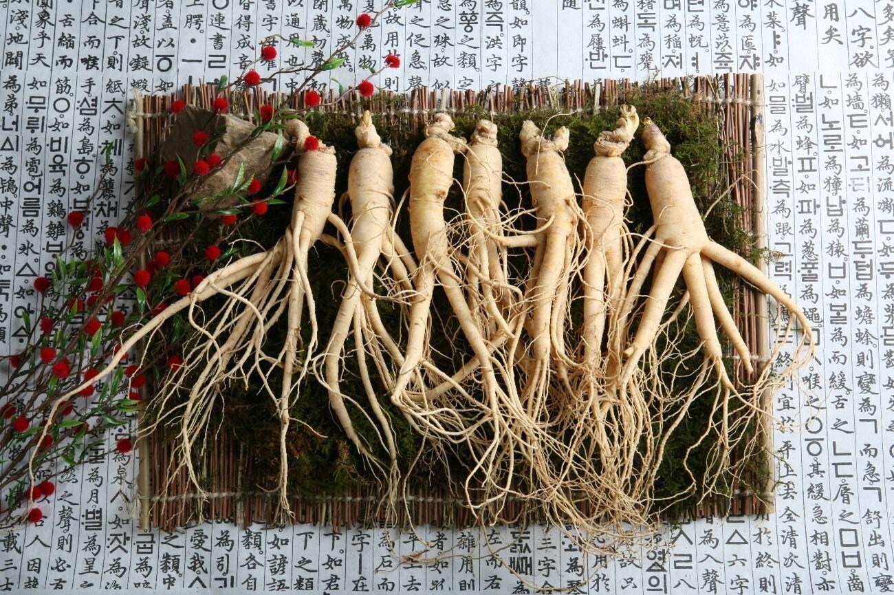 본문 이미지 - 사진제공 = 한국인삼협회