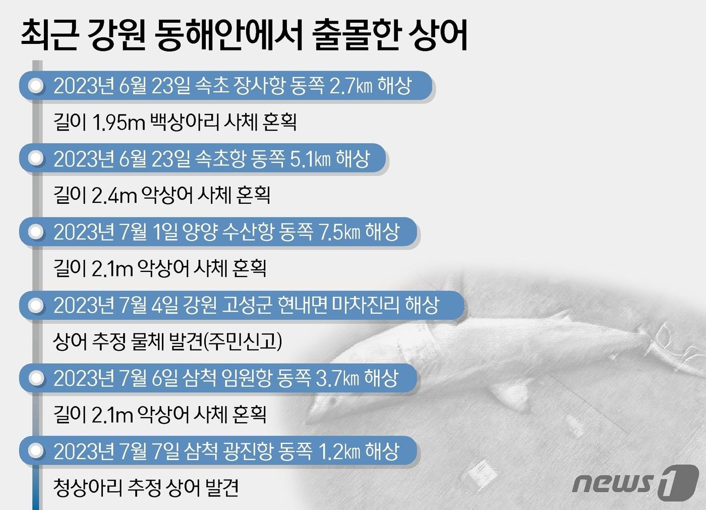 본문 이미지 - ⓒ News1 양혜림 디자이너
