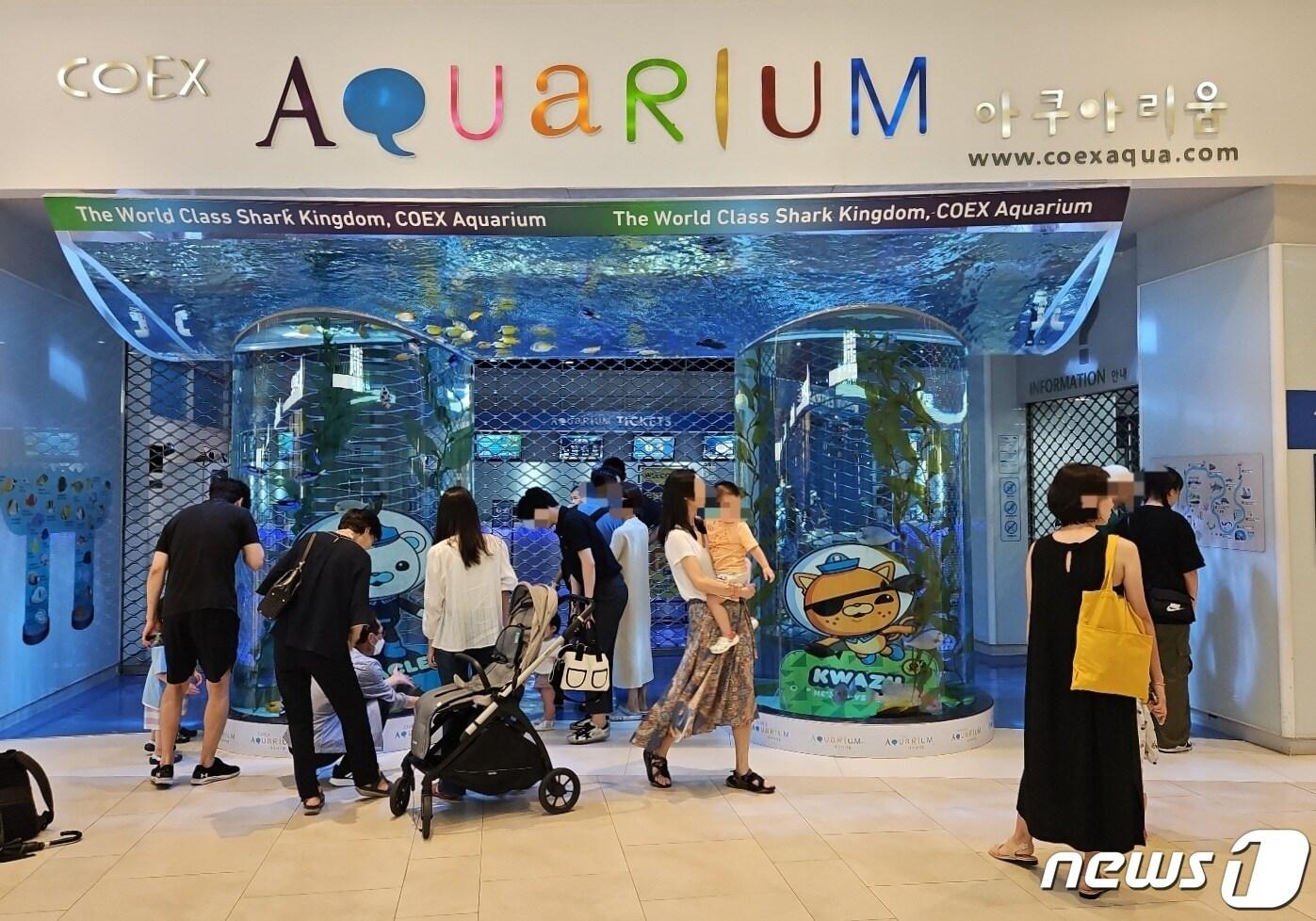 본문 이미지 -   15일 오전 서울 강남구 코엑스 아쿠리아움 개장 전 모습. 2023.7.15/뉴스1 ⓒ News1 문혜원 기자