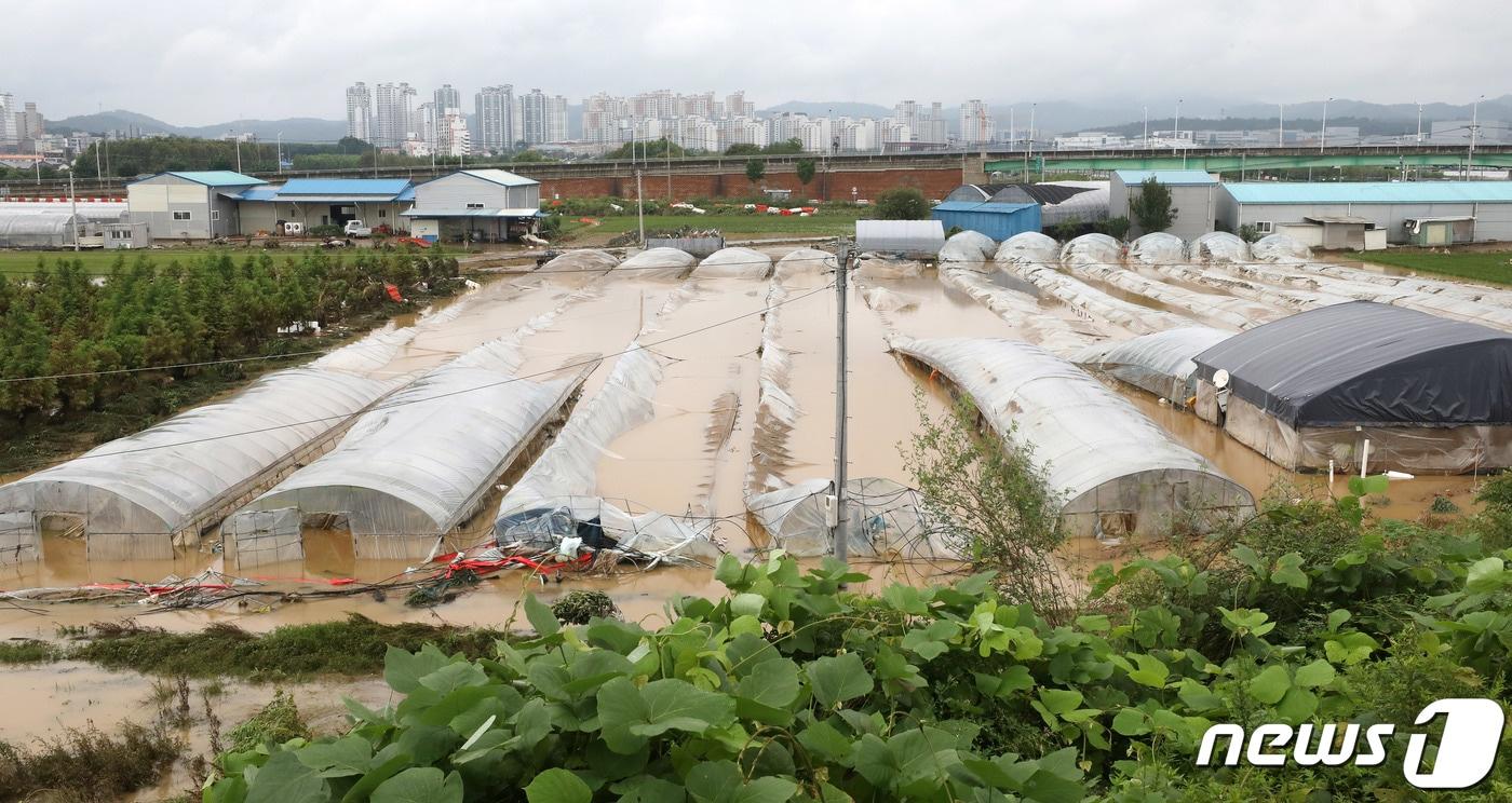 자료사진/뉴스1