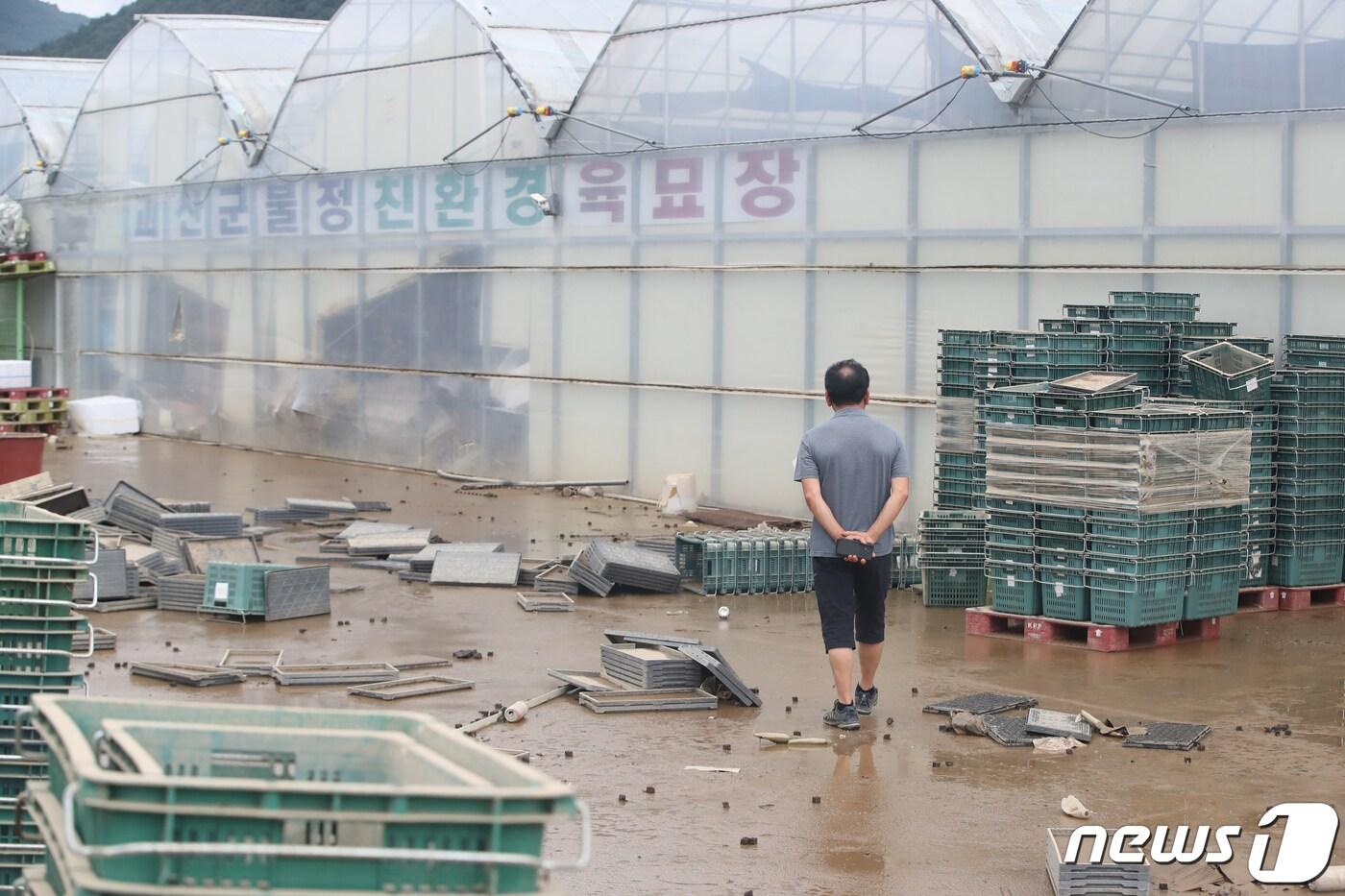 본문 이미지 - 16일 오후 충북 괴산 불정면에 위치한 폭우 피해 농가에서 농민이 피해를 입은 시설물을 바라보고 있다. 2023.7.16/뉴스1 ⓒ News1 황기선 기자