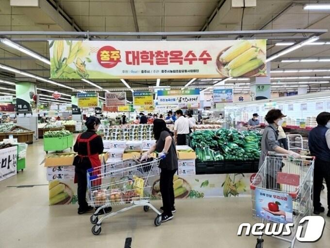 본문 이미지 - 17일 충북 충주시는 대학찰옥수수 직거래 행사를 오는 19일부터 30일까지 12일간 수도권 유통센터 6곳에서 연다고 밝혔다.(충주시 제공)2023.7.17/뉴스1