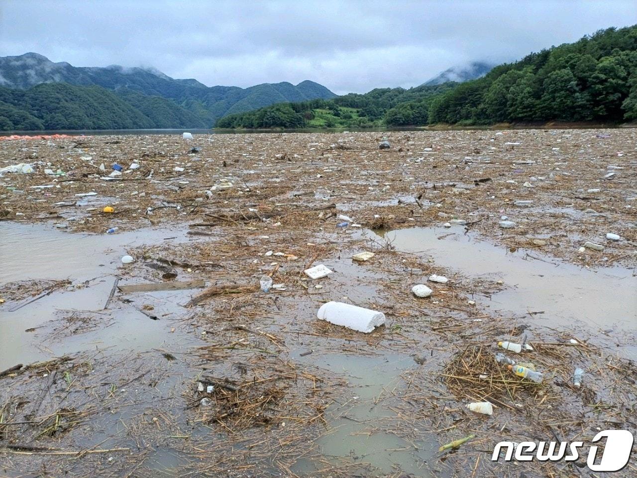 본문 이미지 - 17일 오후 충북 옥천군 군북면 석호리 수역이 각종 쓰레기로 뒤덮여 있다. 최근 내린 장맛비로 이 지역에 3000㎥의 쓰레기와 부유물이 떠내려왔다. (독자 제공) /뉴스1 
