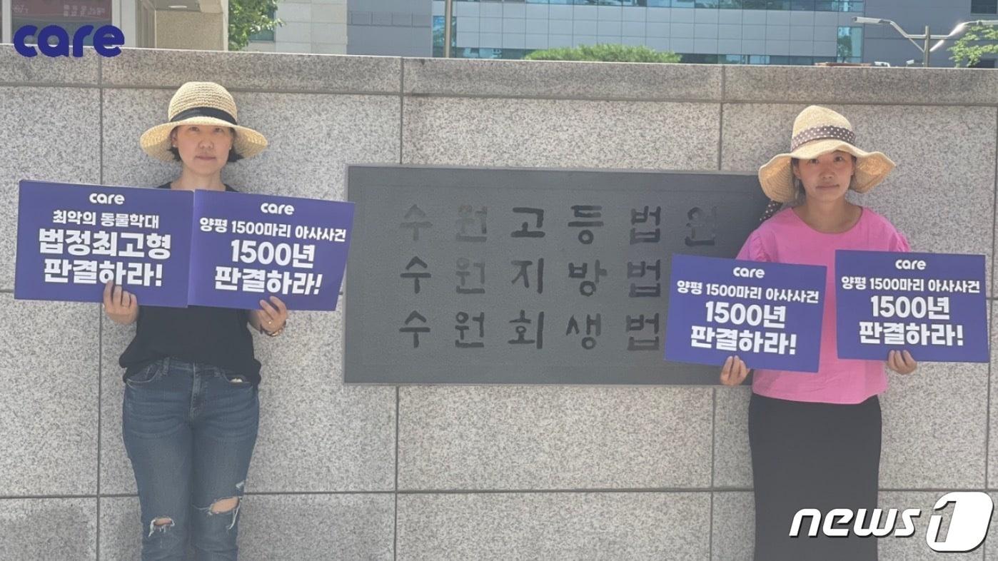 본문 이미지 - (동물권단체 케어 제공)