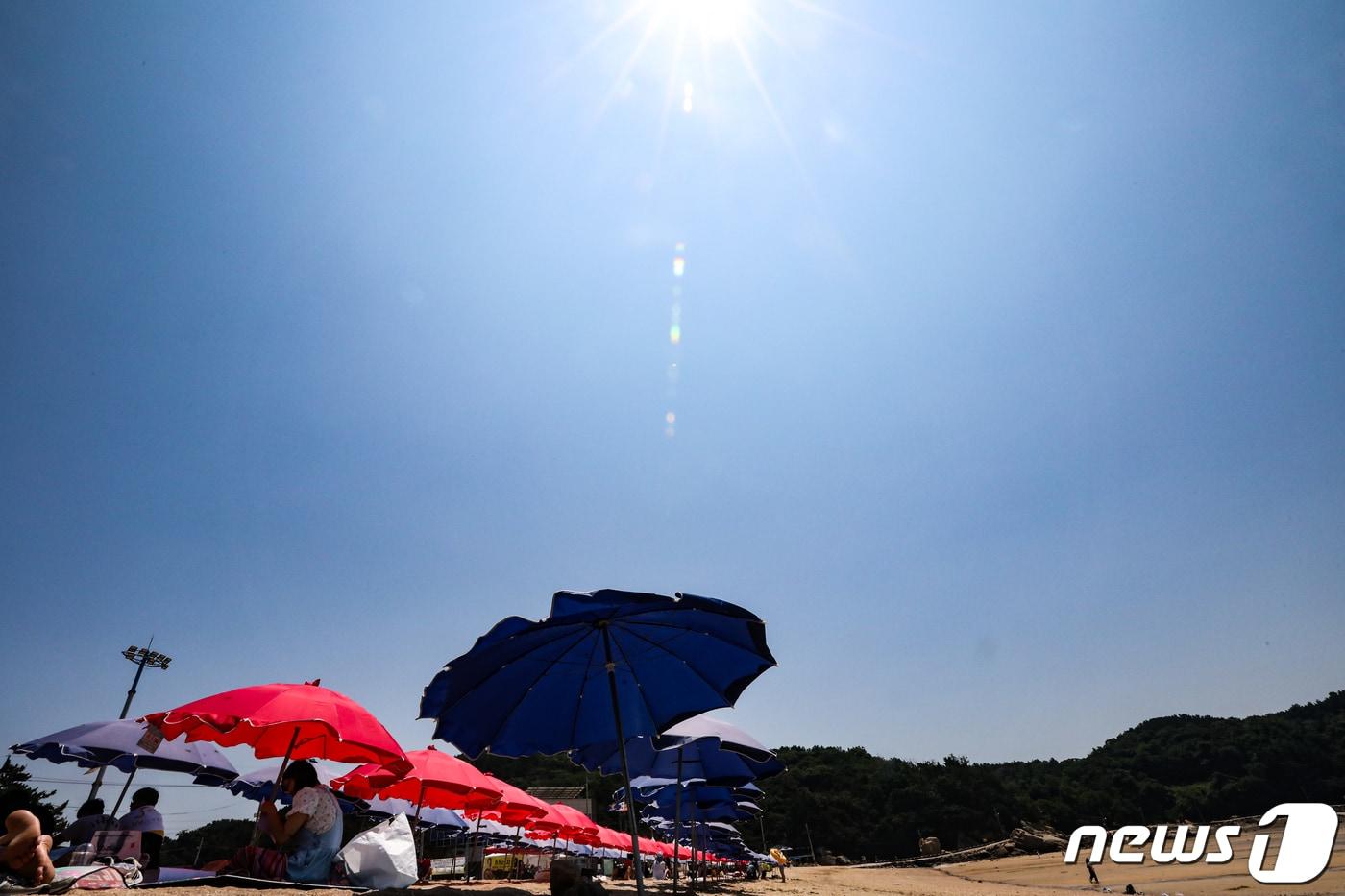 24일 대전과 충남 대부분 지역에 폭염경보가 발효됐다./뉴스1 ⓒ News1 허경 기자