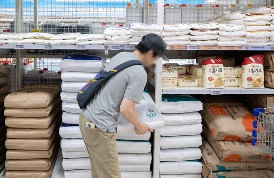 본문 이미지 - 서울의 한 대형마트에 진열된 대한제분 밀가루 제품의 모습. 2023.7.2/뉴스1 ⓒ News1 이재명 기자