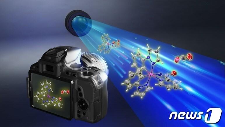 본문 이미지 - 아민화 반응의 핵심 중간체 포착&#40;IBS 제공&#41;/뉴스1