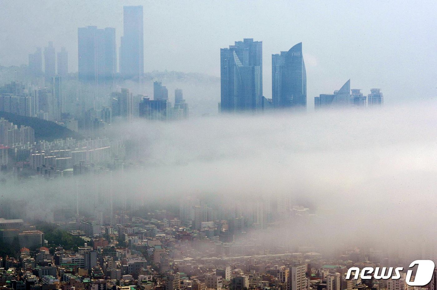 오늘의 날씨] 부산·경남(24일, 일)…경남내륙 중심으로 짙은 안개 - 뉴스1