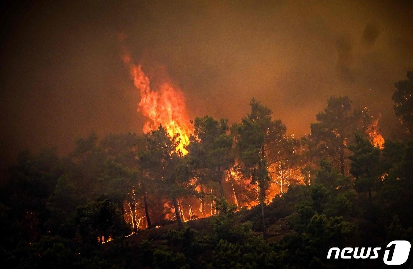 본문 이미지 - 22일 (현지시간) 그리스 로도스 섬의 키오타리에서 산불이 발생해 소나무 숲을 불 태우고 있다. 2023.7.23 ⓒ AFP=뉴스1 ⓒ News1 우동명 기자