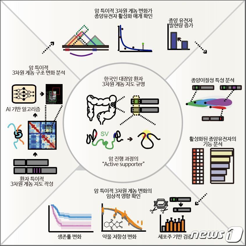 본문 이미지 - 연구 모식도(KAIST 제공)/뉴스1