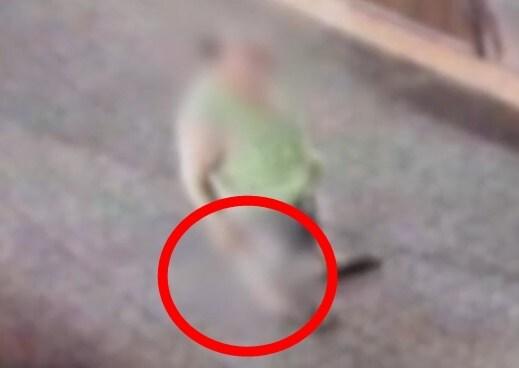 본문 이미지 - 지난 15일 오후6시반께 서울 동대문구 제기동의 한 시장에서 흉기를 들고 다니며 식당 주인과 시민들을 위협한 60대 남성 박모씨. (KBS 갈무리)