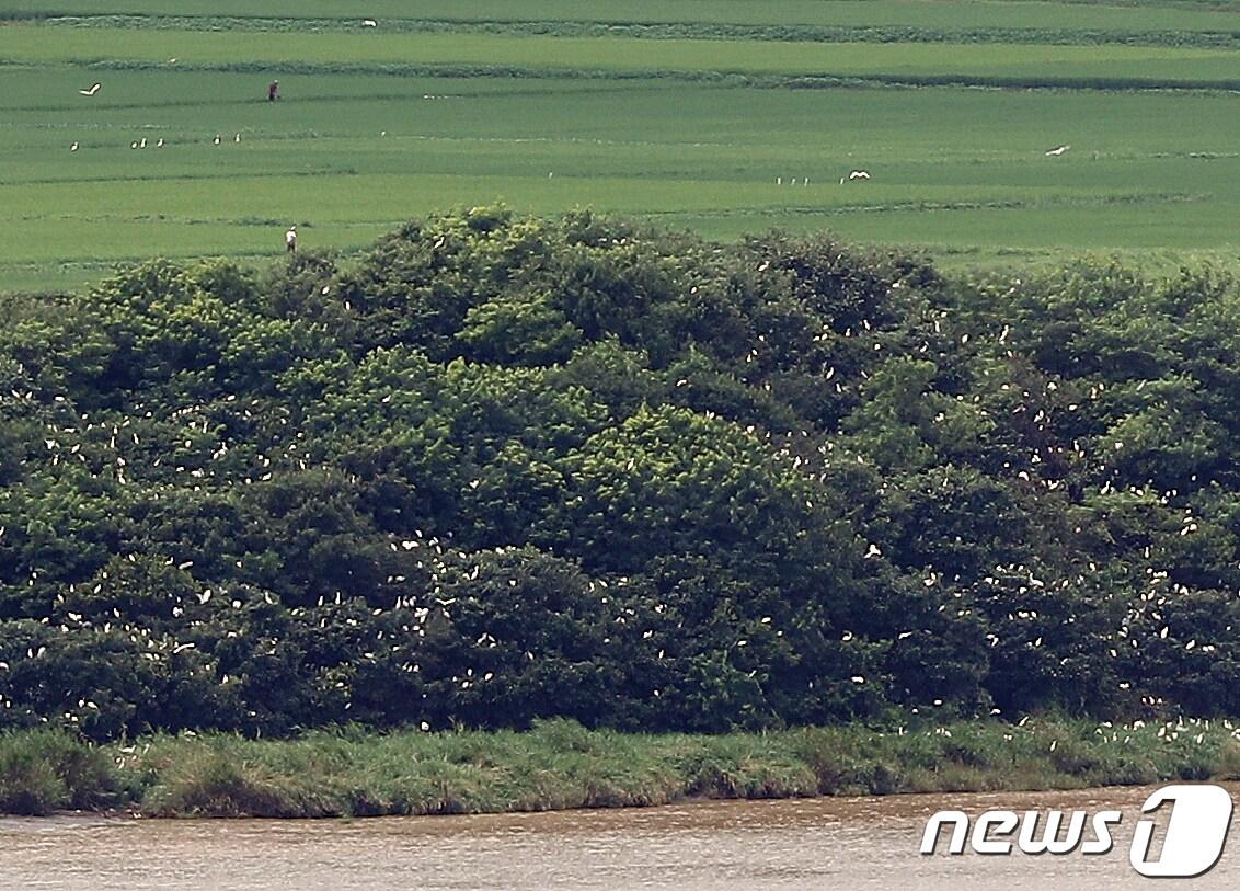 본문 이미지 - 경기 파주시 오두산 통일전망대에서 바라본 북한 황해북도 개풍군 마을. 2023.7.26/뉴스1 ⓒ News1 신웅수 기자