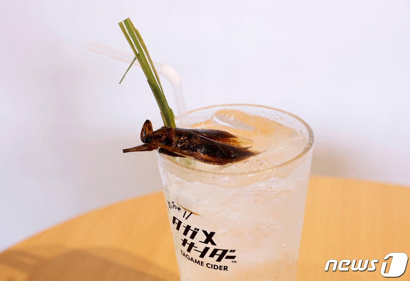 본문 이미지 - 21일 도쿄 타케노코 카페에서 촬영한 타가메 사이다, 물장군 추출물과 말린 물장군 가니쉬를 곁들여 만든 탄산음료다. 2023.07.21/ ⓒ 로이터=뉴스1 ⓒ News1 윤주영 기자