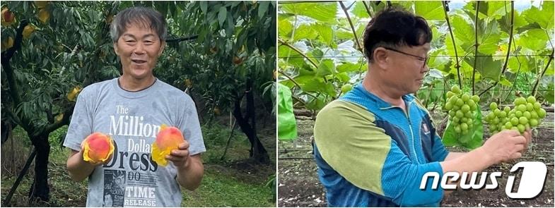 본문 이미지 - 옥천군 11대 복숭아왕 고현기씨(왼쪽)와 30대 포도왕 곽은호씨. /뉴스1