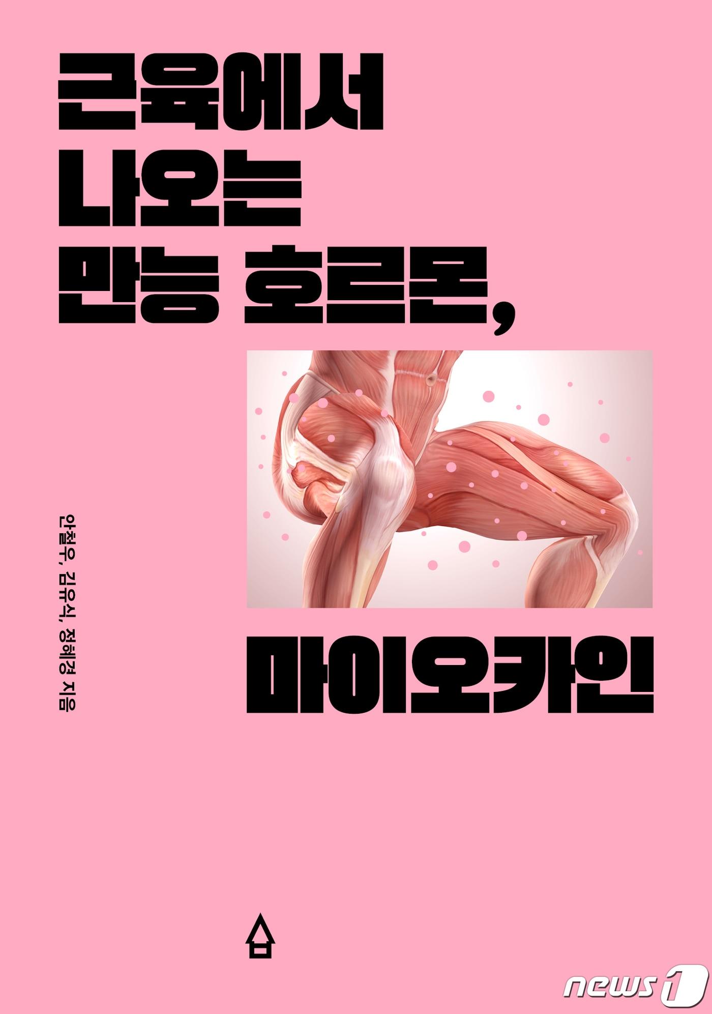 본문 이미지 -  