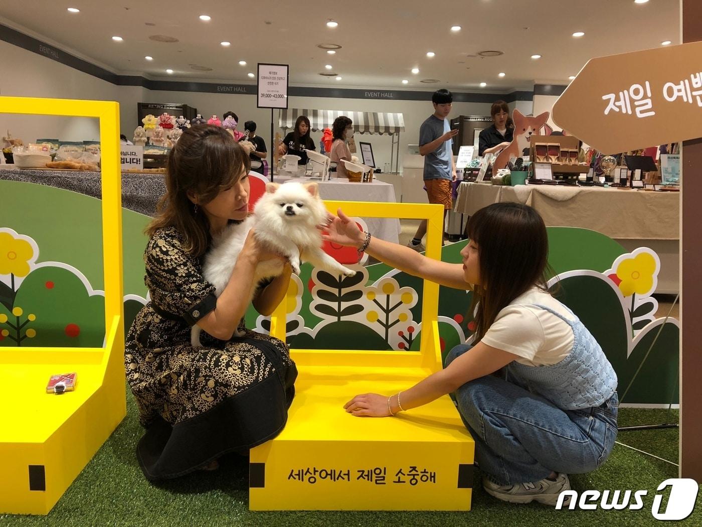 본문 이미지 - 롯데아울렛 광주수완점 반려동물 페스티벌 자료사진. (롯데 광주 제공) 2023.7.27/뉴스1 ⓒ News1 