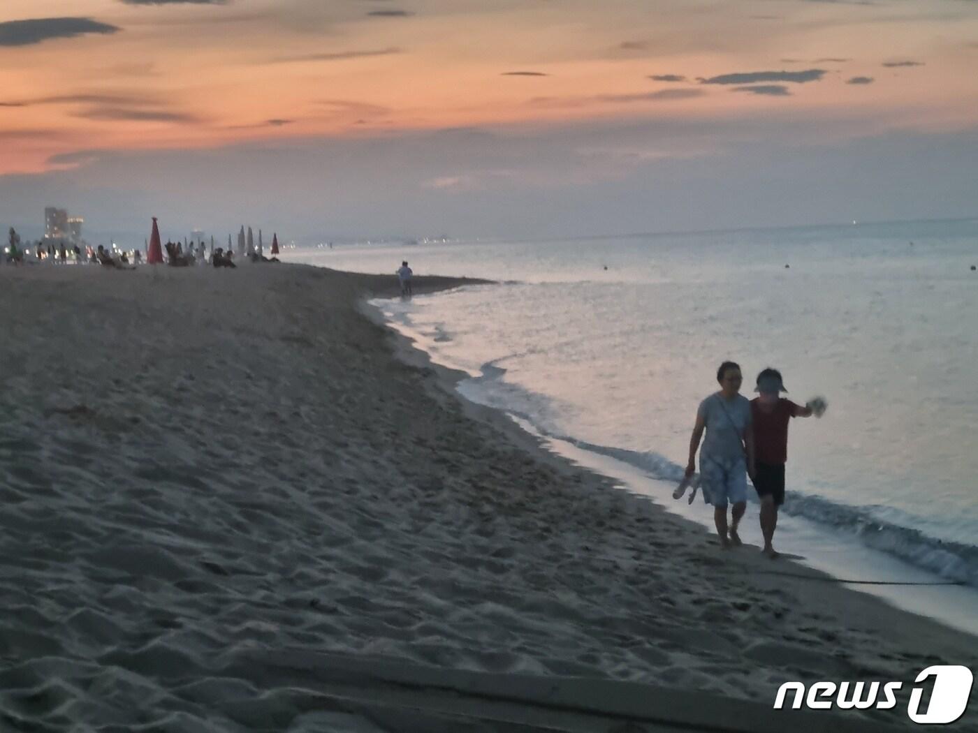 본문 이미지 - 열대야 식히는 강릉시민 자료사진.(뉴스1 DB)ⓒ News1 윤왕근 기자