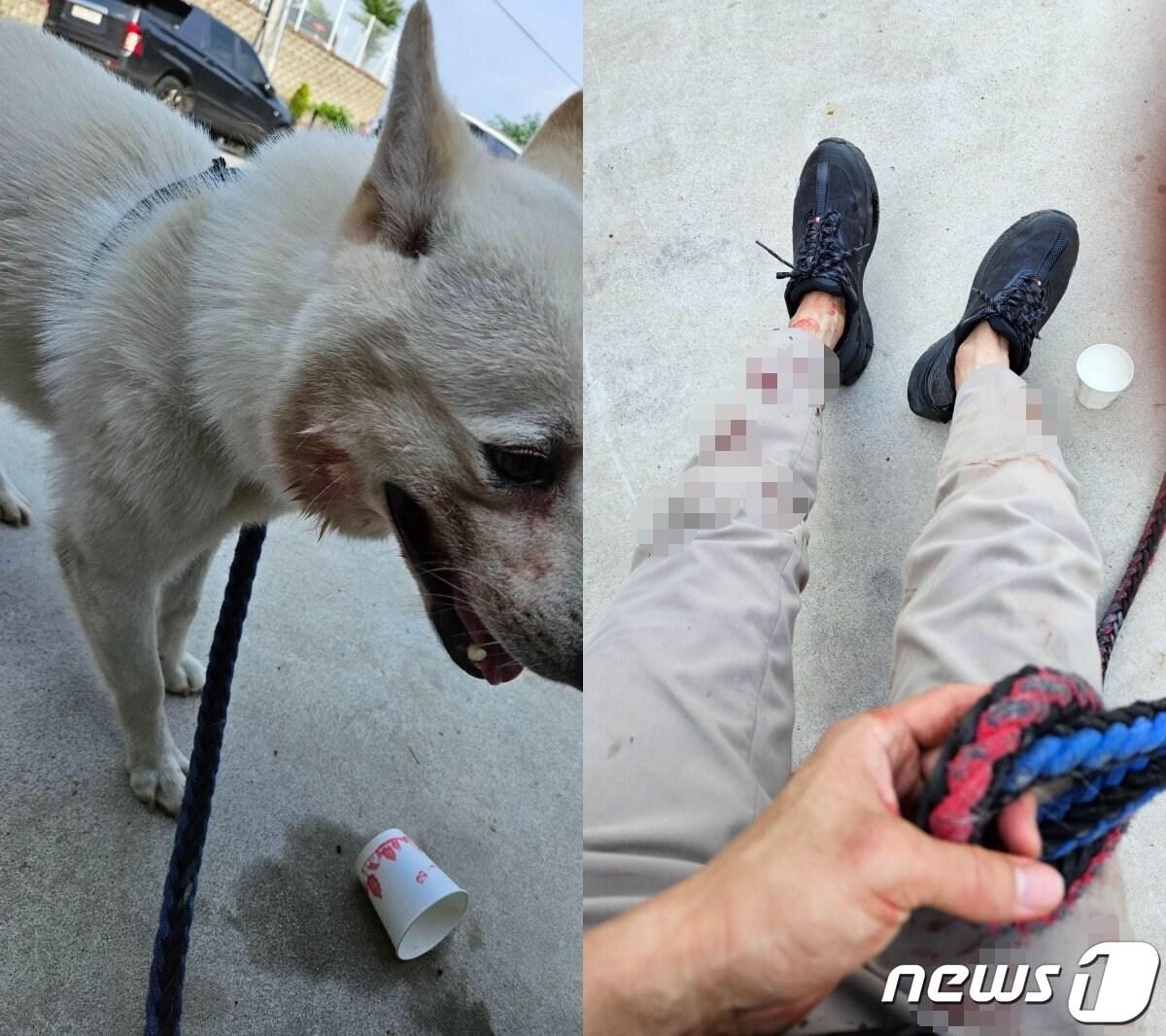 본문 이미지 - (온라인 커뮤니티 갈무리)