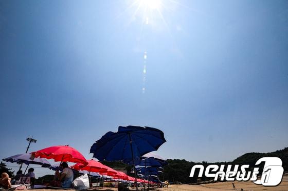 본문 이미지 - 폭염특보가 6일째 이어지고 있는 충북에 무더위가 기승을 부리고 있다.(사진은 기사 내용과 무관함) /뉴스1