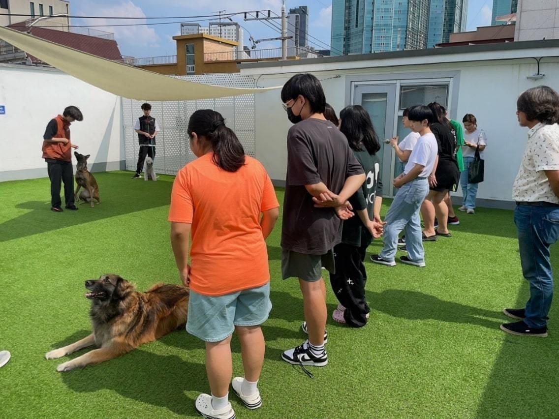 본문 이미지 - 청소년들이 반려동물 직업 체험을 하는 모습. (금천구 제공)