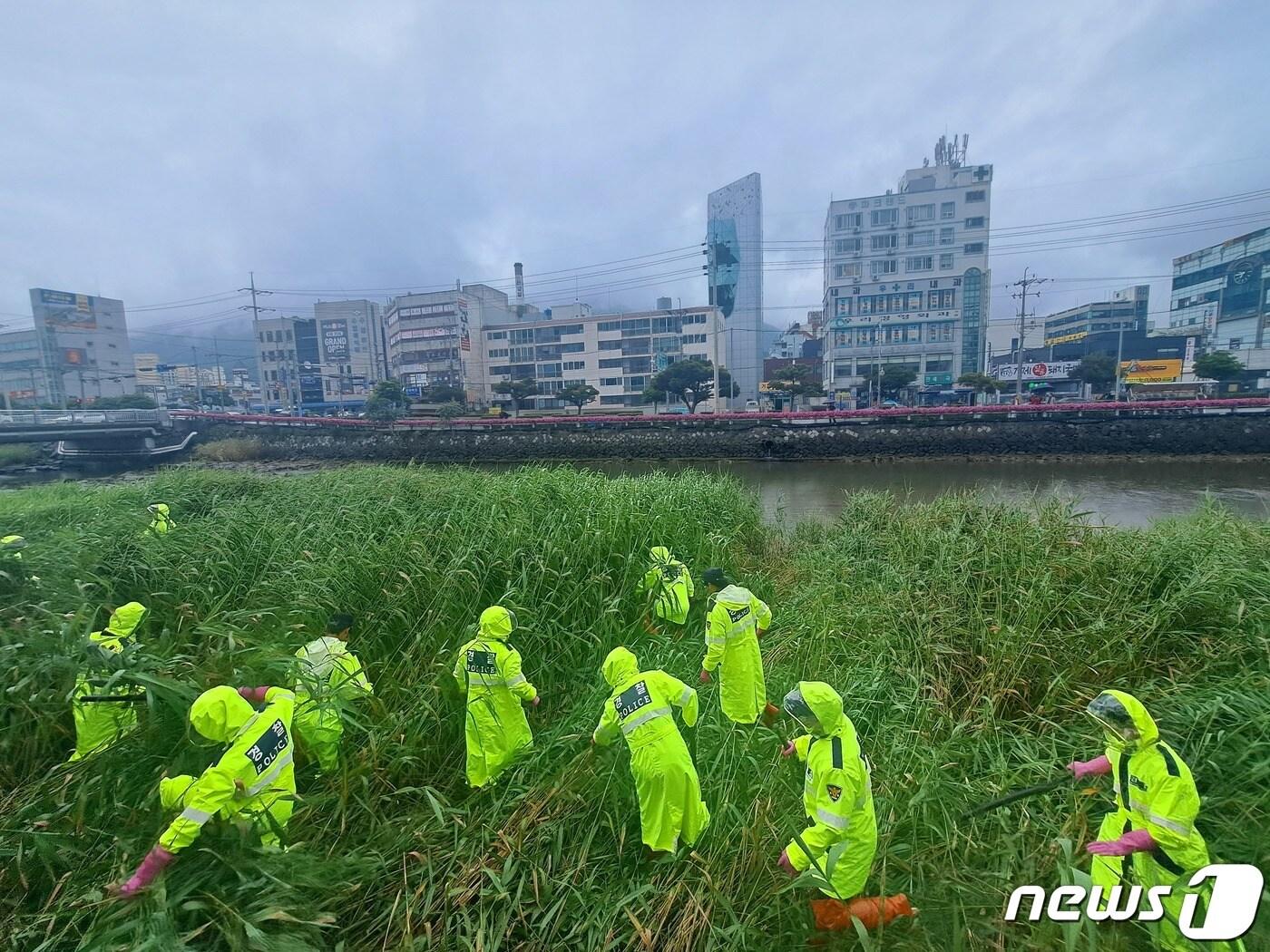 본문 이미지 - 경찰이 4일 경남 거제시 고현천 주변에서 거제 영아 암매장 사건과 관련해 영아 시신을 수색하고 있다.2023.7.4/뉴스1 ⓒ News1 강미영 기자