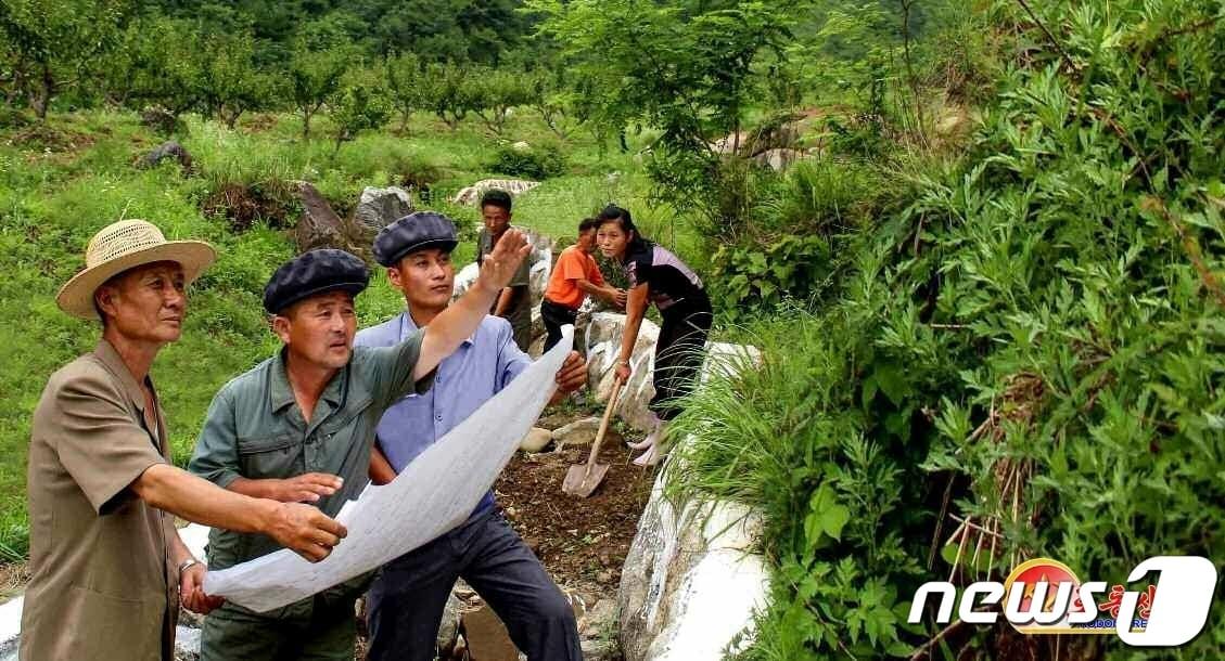 본문 이미지 - (평양 노동신문=뉴스1) =문천시 고암농장. [국내에서만 사용가능. 재배포 금지. DB 금지. For Use Only in the Republic of Korea. Redistribution Prohibited] rodongphoto@news1.kr