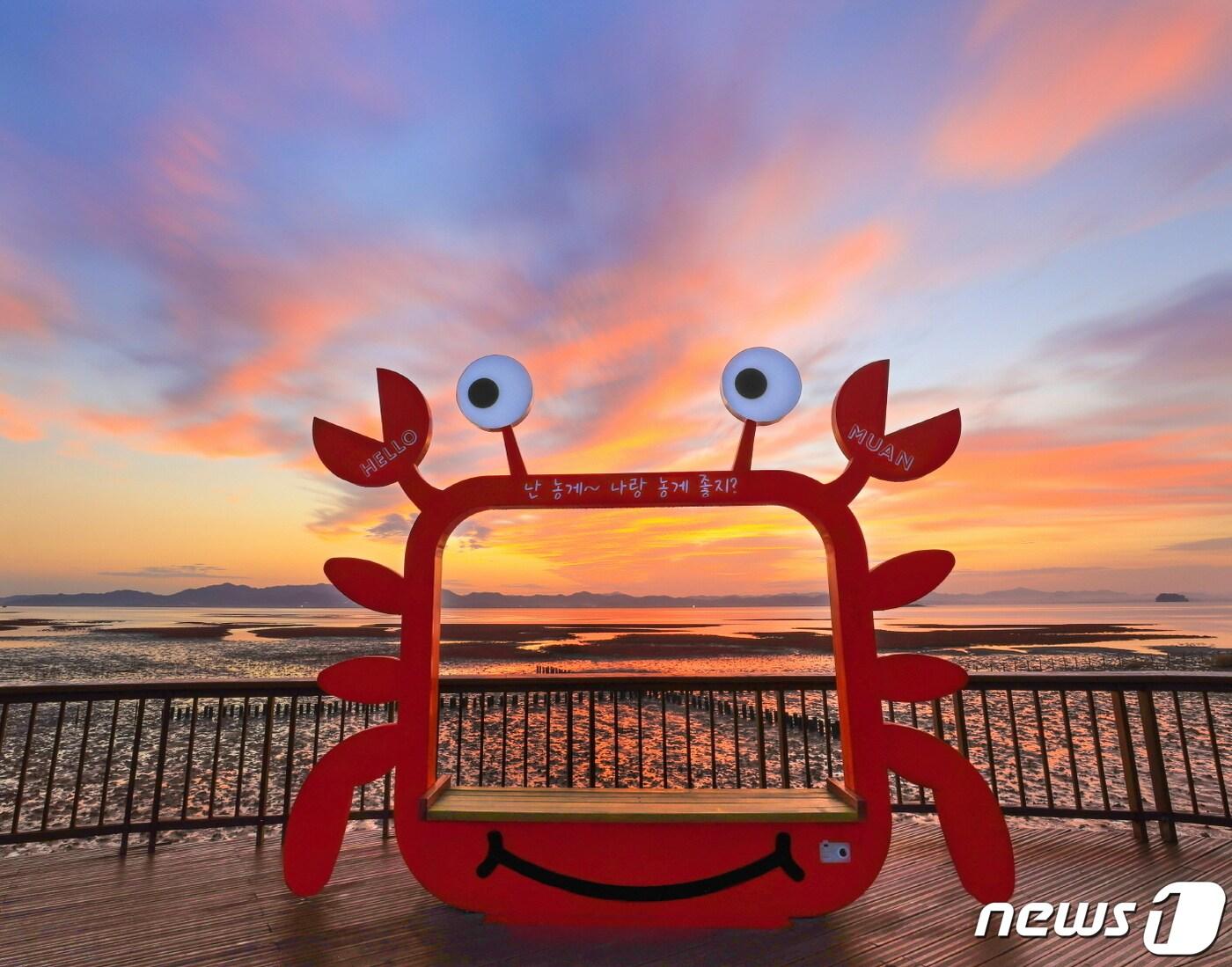 본문 이미지 - 무안 황토갯벌랜드 (무안군 제공)/뉴스1 