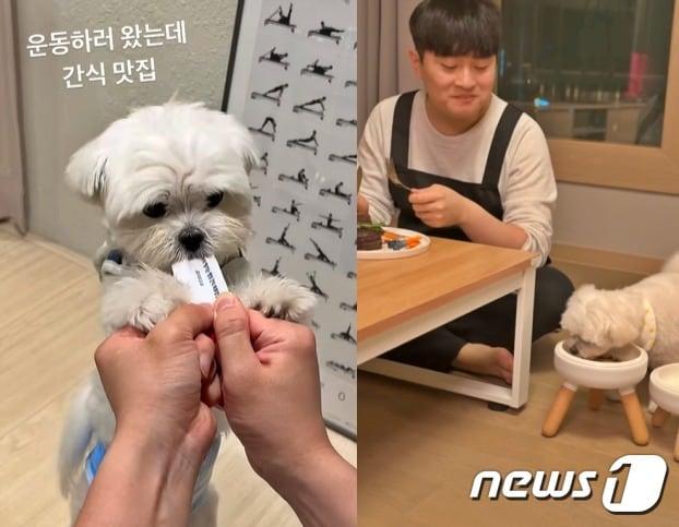 본문 이미지 - 반려견 두부 인스타그램 갈무리 ⓒ 뉴스1