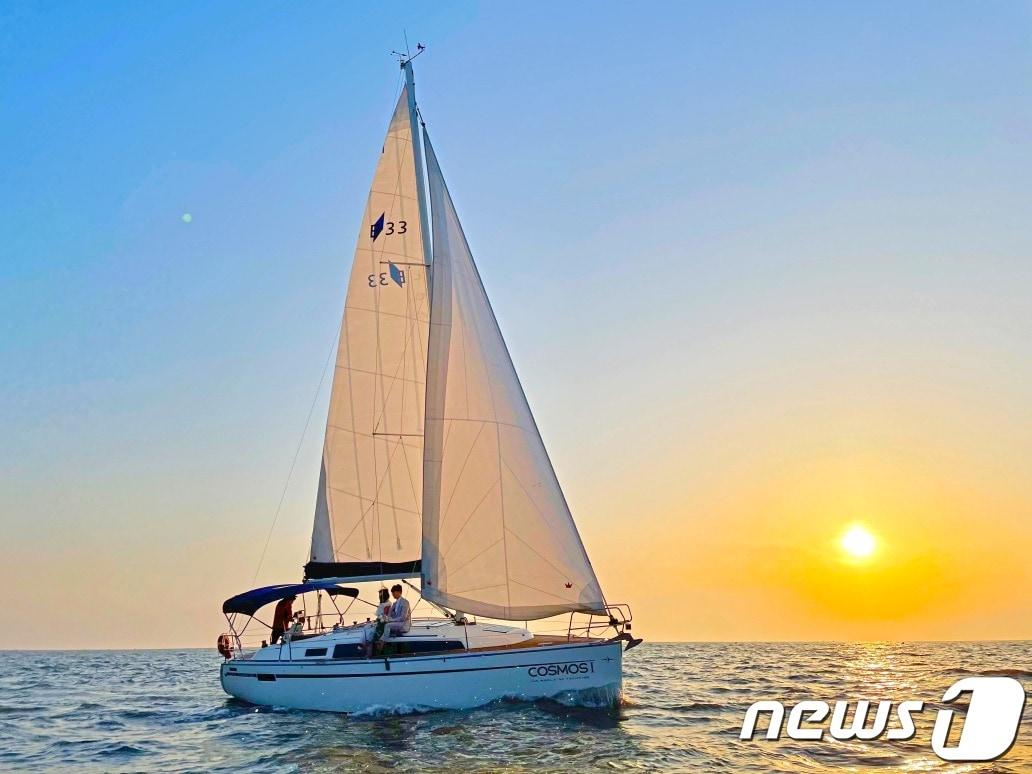 본문 이미지 - 현대요트, 코스모스호 / 뉴스1
