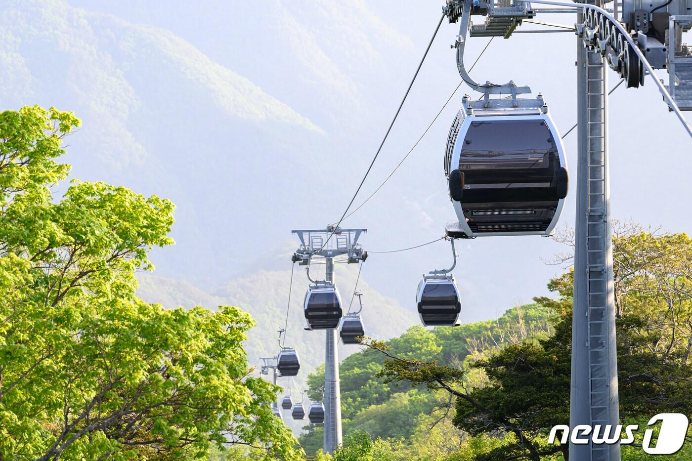 강원 정선 가리왕산 케이블카. (정선군 제공) 2023.7.10/뉴스1