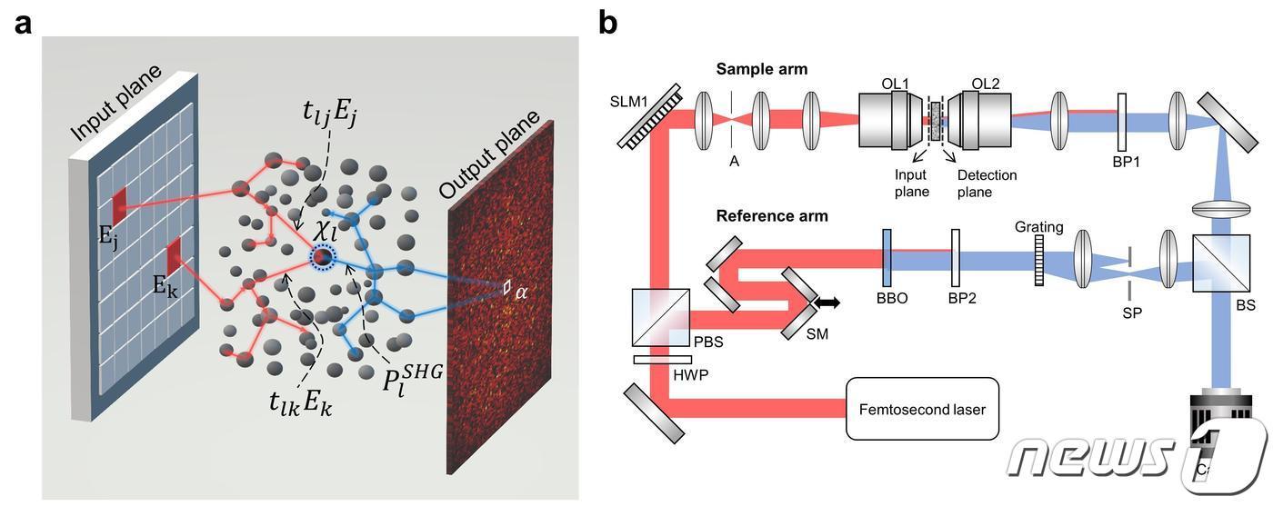 비선형 산란매질의 전파 응답 및 측정 시스템.(IBS 제공)/뉴스1