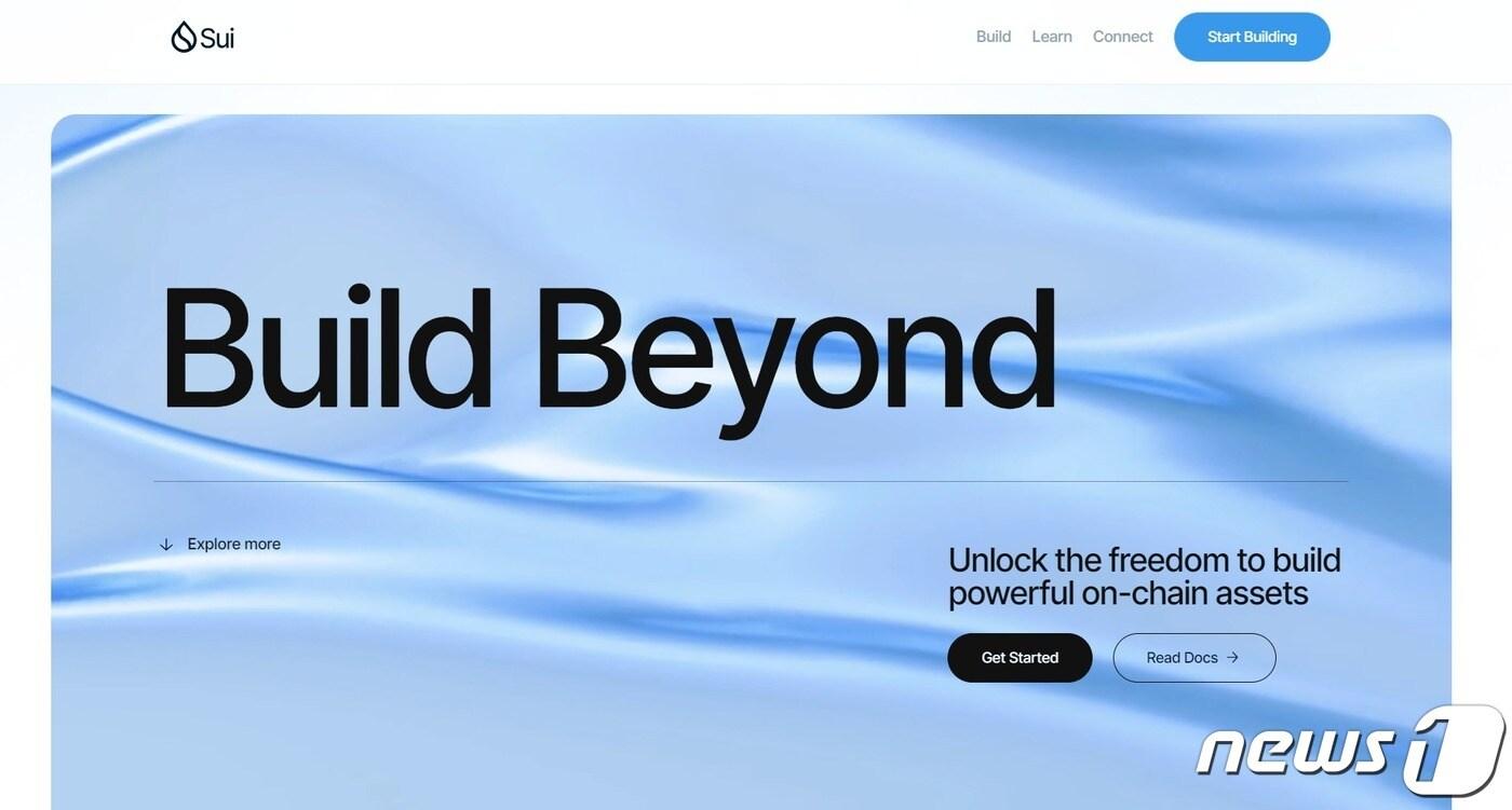 본문 이미지 - 글로벌 레이어 1 프로젝트 수이. (수이 공식 홈페이지 캡처)