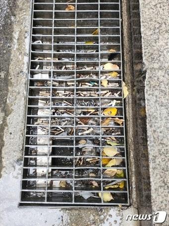 본문 이미지 - 10일 오전 신논현역 인근 빗물받이. 나뭇잎과 담배꽁초로 가득한 모습/뉴스1 ⓒ News1 서상 기자