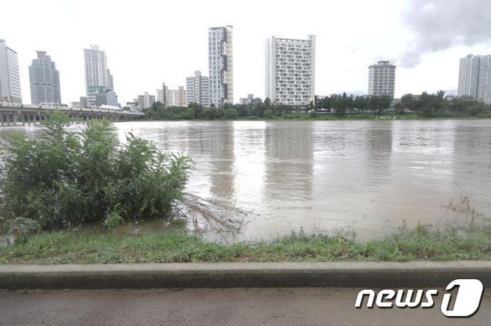 본문 이미지 - 태화강 범람 쟈ㅏ료사진. 2023.8.10/뉴스1 ⓒ News1 김지혜 기자