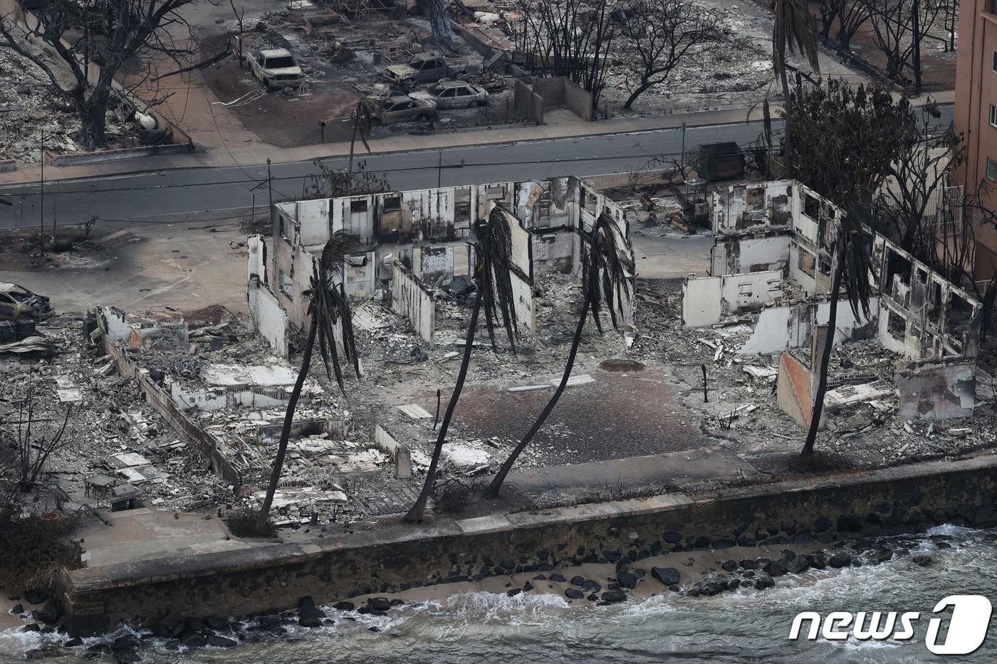 10일(현지시간) 미국 하와이 라하이나 지역을 덮친 산불로 해변가의 야자수가 검게 타고 주변 건물들이 파괴됐다. 하와이 산불이 확산된 원인으로 전문가들은 인화성이 강한 외래종 초목을 지목했다.  2023.08.10. ⓒ 로이터=뉴스1 ⓒ News1 김형준 기자
